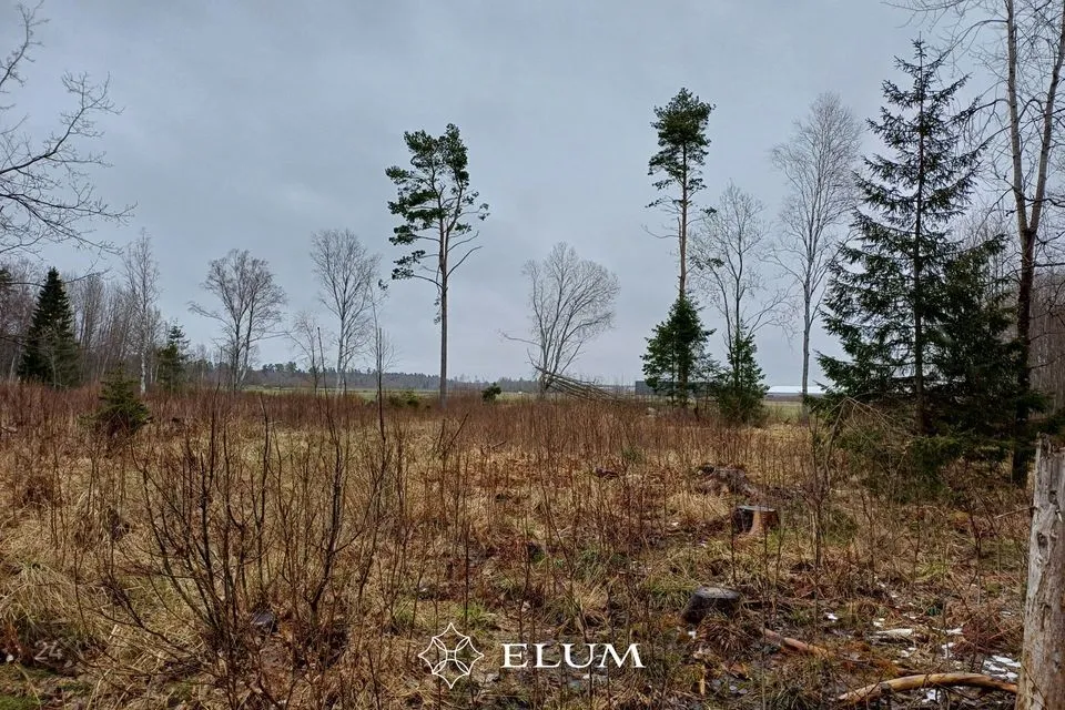 Maatulundusmaa, 92382 m² участок в Kiili vald, Luige alevik - фото 5