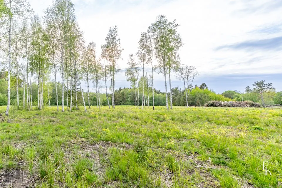 Maatulundusmaa, 9851 m² участок в Lääne-Harju vald, Änglema küla - фото 5