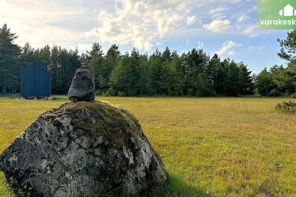 Elamumaa, 11251 m² Maa  -  Muhu vald, Pallasmaa küla - foto 4