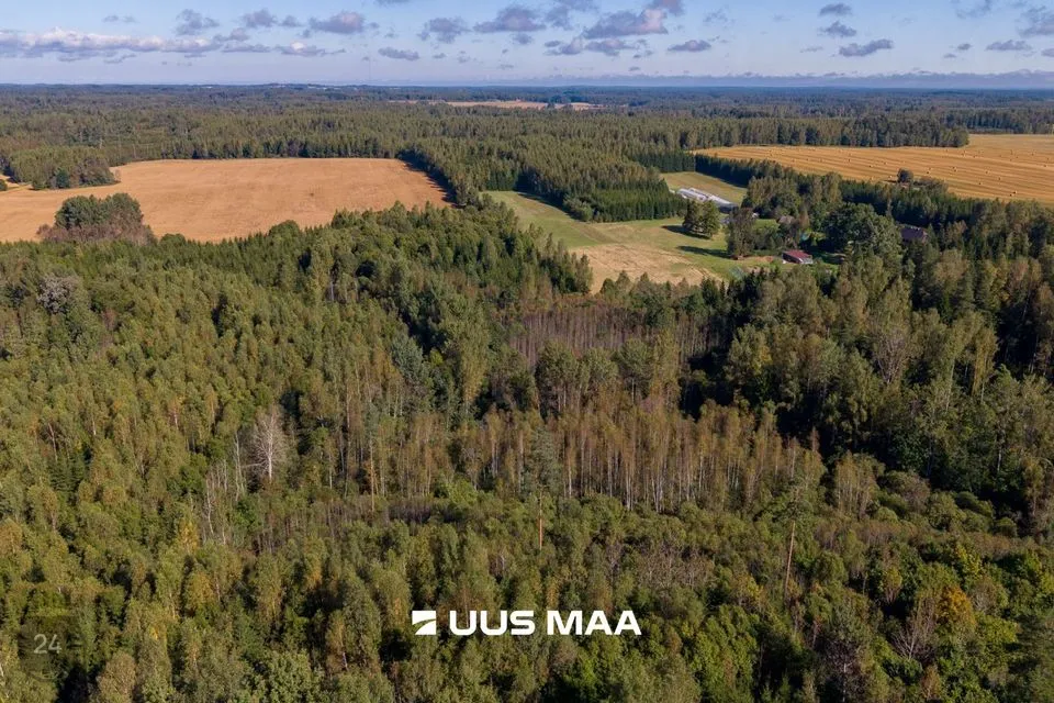 Maatulundusmaa, 44076 m² Maa - Kanepi vald, Karste küla - foto 3