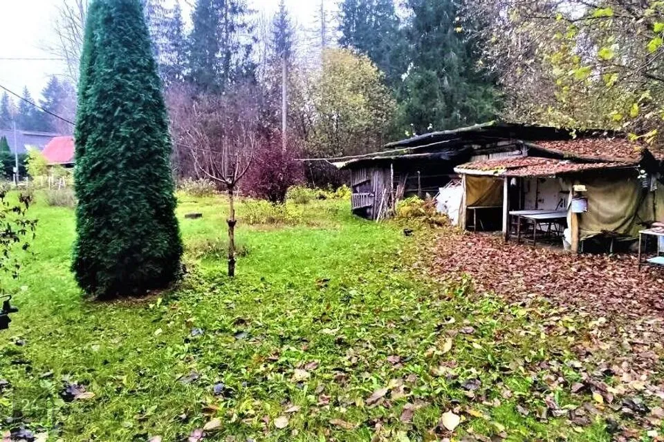 Maatulundusmaa, 6281 m² Maa  -  Saue vald, Laitse küla - foto 4