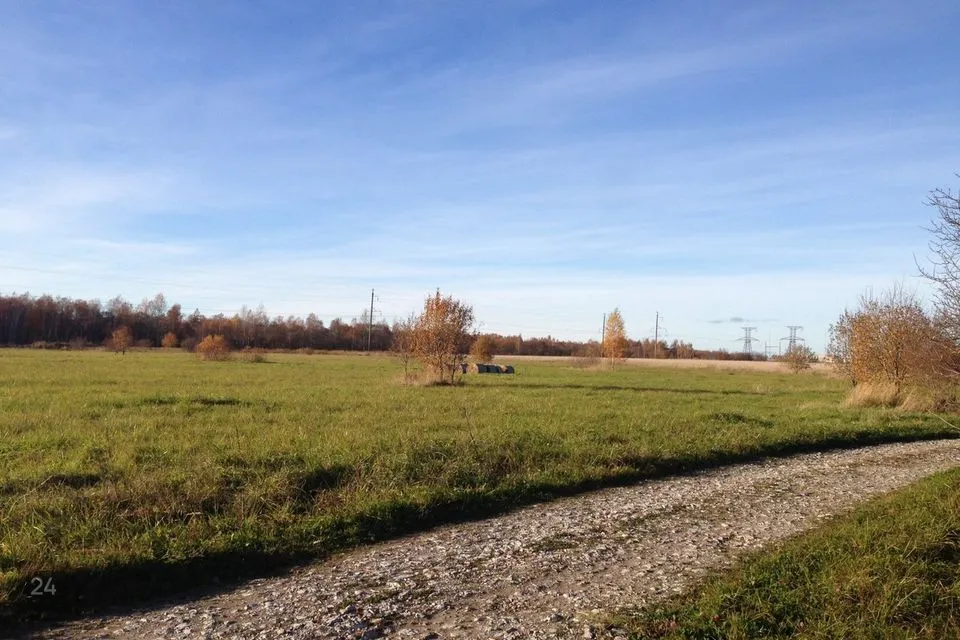 Maatulundusmaa, 174500 m² Maa  -  Jõhvi vald, Päite küla - foto 4