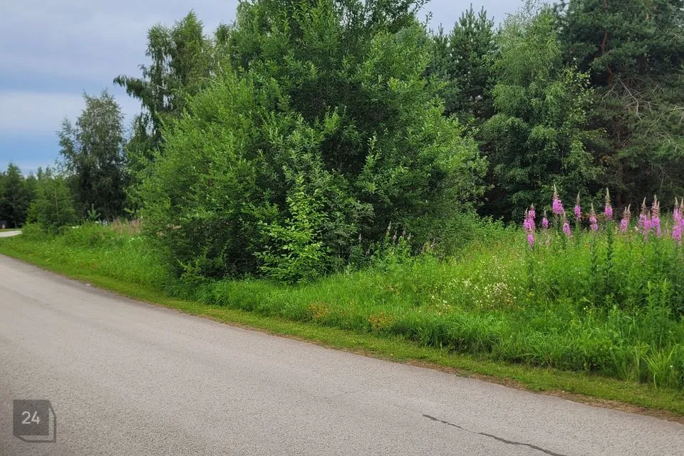 Elamumaa, 3660 m² Maa  -  Kuusalu vald, Sõitme küla - foto 4