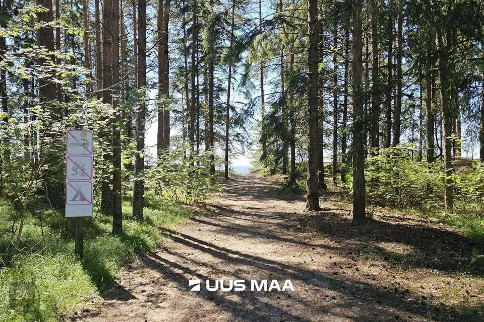 Многоцелевое, 3853 m² Бизнес-площадь в Alutaguse vald, Karjamaa küla - фото 3
