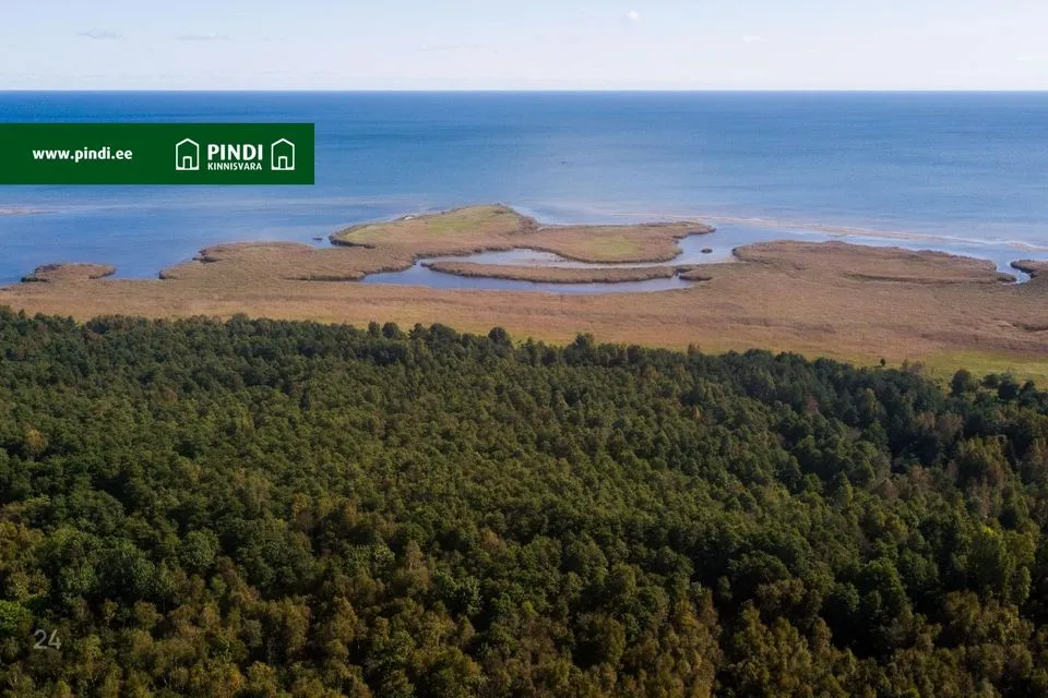 Maatulundusmaa, 473000 m² участок в Saaremaa vald, Kaimri küla - фото 2