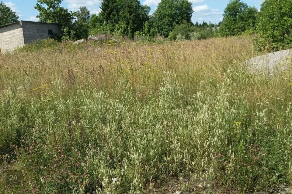 Tootmismaa, 5550 m² Maa - Rapla vald, Alu alevik - foto 4