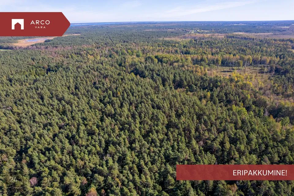 Maatulundusmaa, 136296 m² участок в Saaremaa vald, Ööriku küla