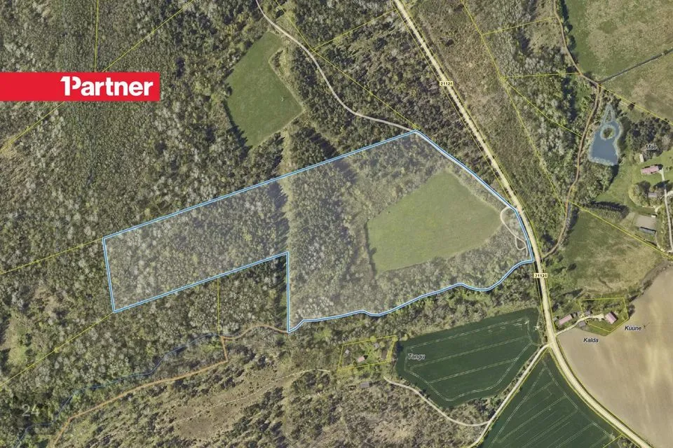 Maatulundusmaa, 101462 m² Maa  -  Saaremaa vald, Maleva küla - foto 4
