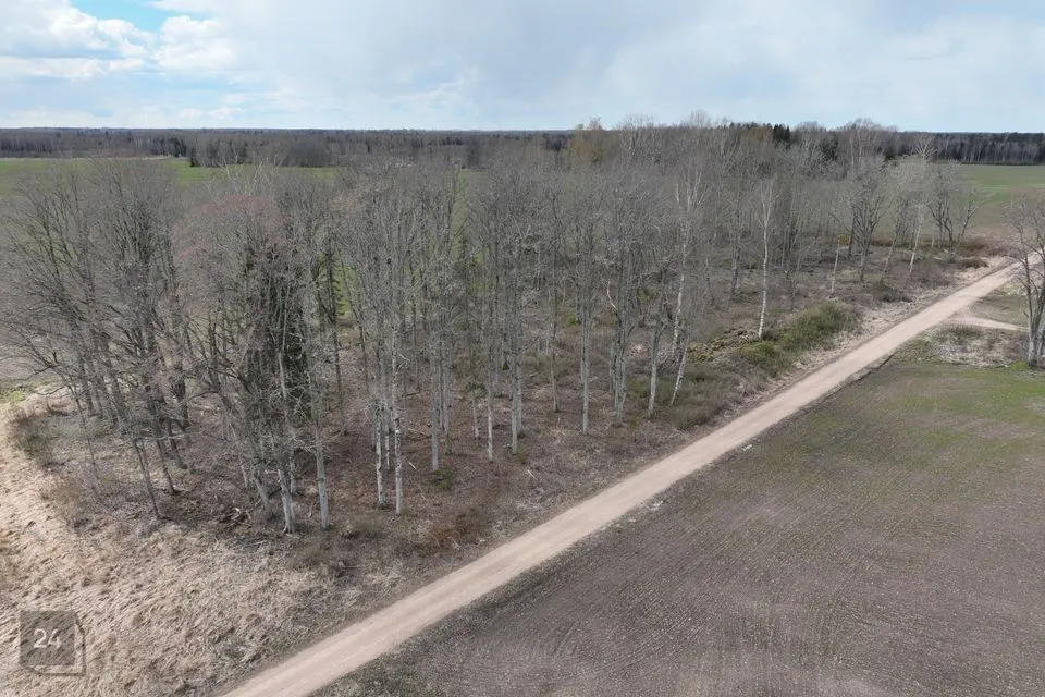 Земля жилой застройки, 10876 m² участок в Mulgi vald, Veelikse küla - фото 2