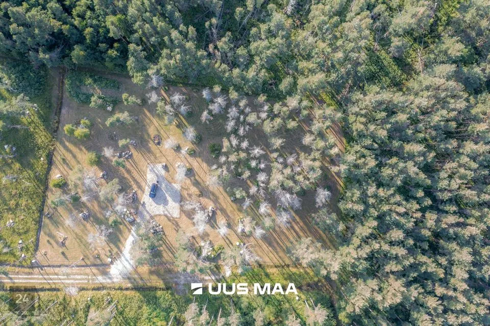 Земля жилой застройки, 5604 m² участок в Hiiumaa vald, Reigi küla - фото 3
