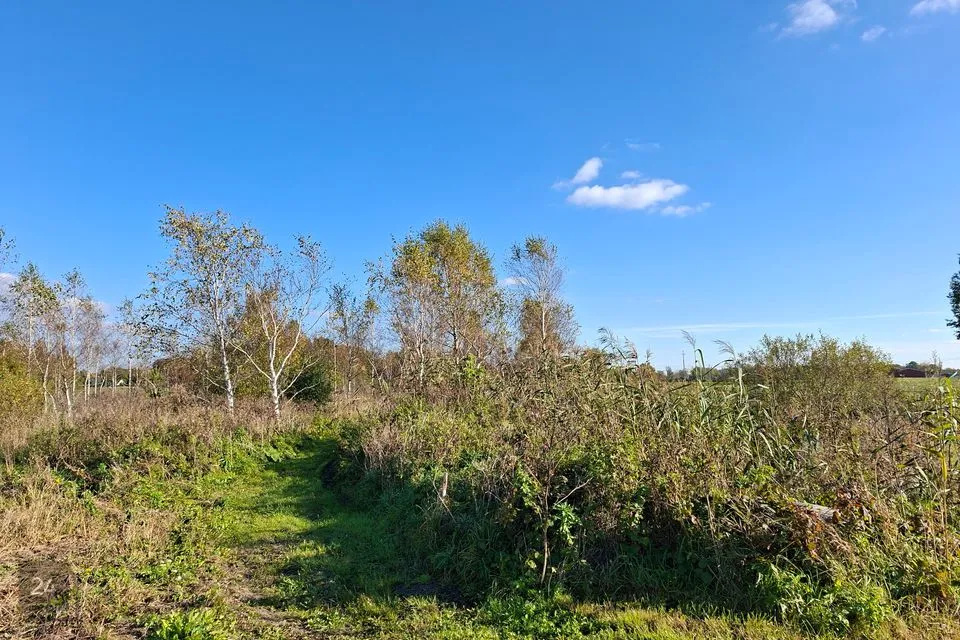 Maatulundusmaa, 5007 m² Maa  -  Lääne-Nigula vald, Linnamäe küla
