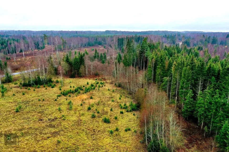 Maatulundusmaa, 21511 m² Maa - Anija vald, Voose küla - foto 4