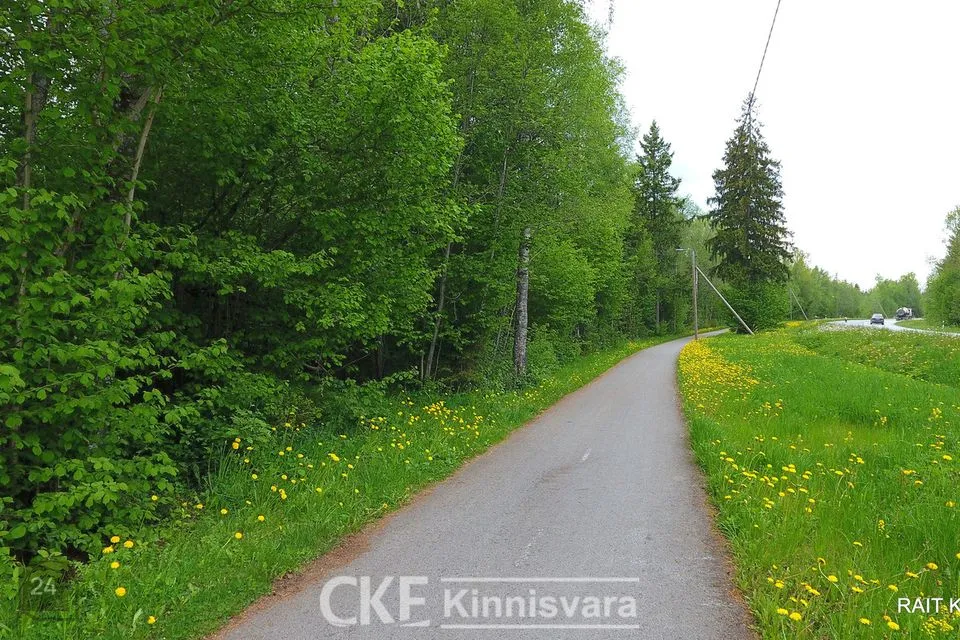 Cultivated land, 19065 m² land in Saku vald, Kasemetsa küla - photo 5