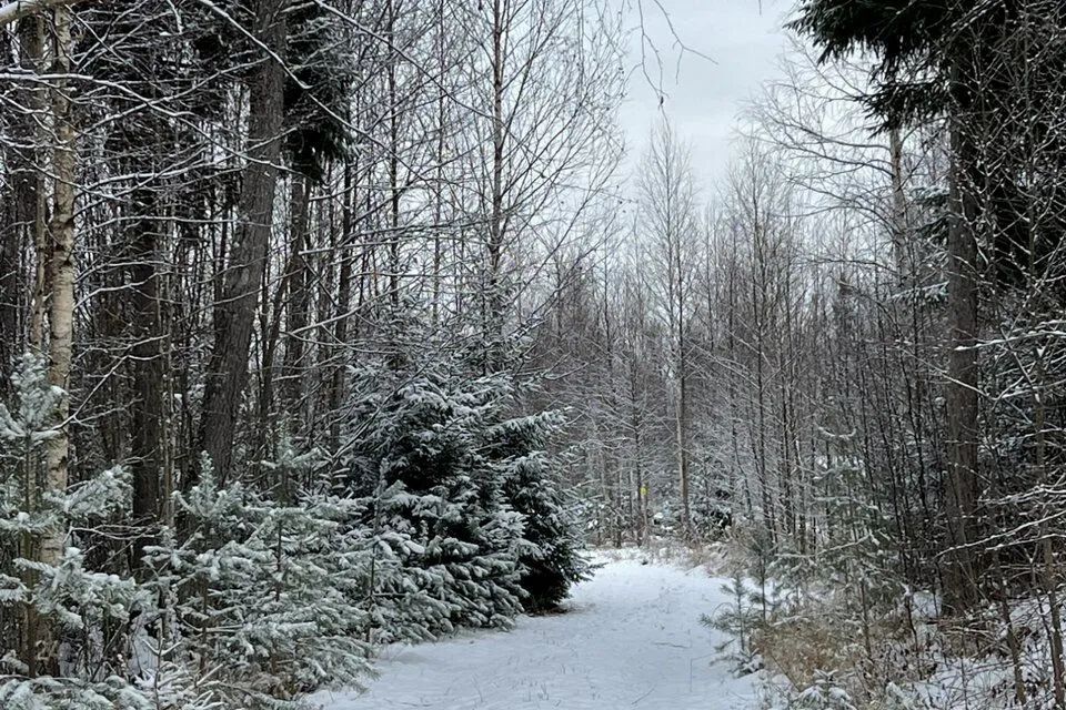 Elamumaa, 5711 m² Maa - Hiiumaa vald, Kodeste küla - foto 2
