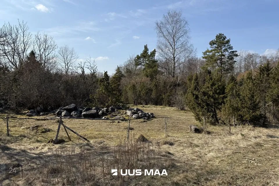 Maatulundusmaa, 12321 m² Maa  -  Saaremaa vald, Oitme küla - foto 4