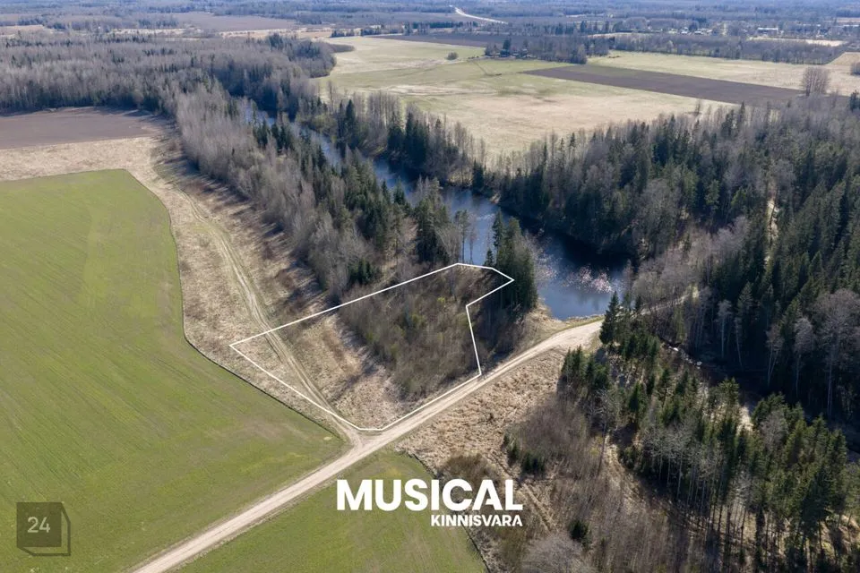 6131 m² Maa - Mulgi vald, Veelikse küla - foto 2