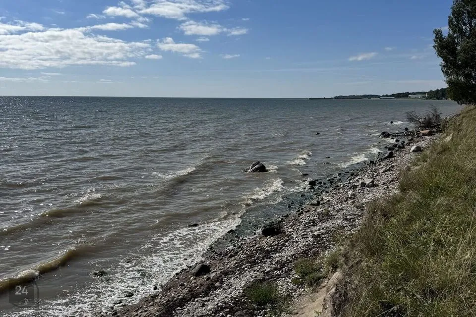 Elamumaa, 178695 m² Maa - Saaremaa vald, Mõntu küla - foto 4