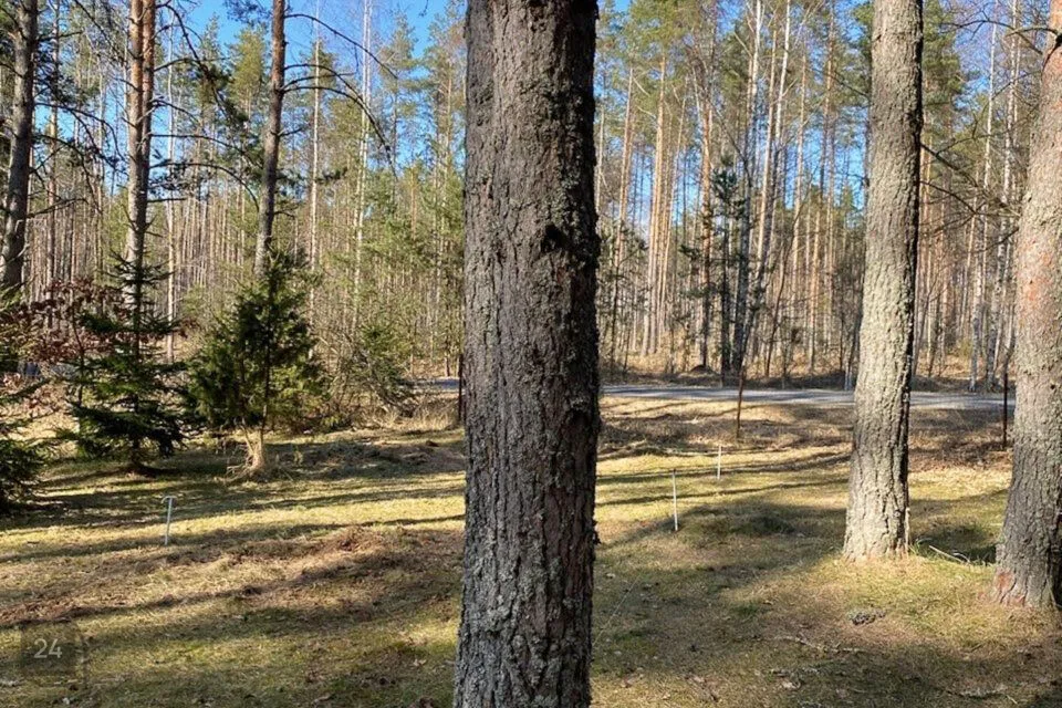 Residential land, 3402 m² land in Alutaguse vald, Katase küla - photo 4