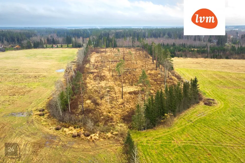 Maatulundusmaa, 65454 m² Maa - Tori vald, Are alevik - foto 4