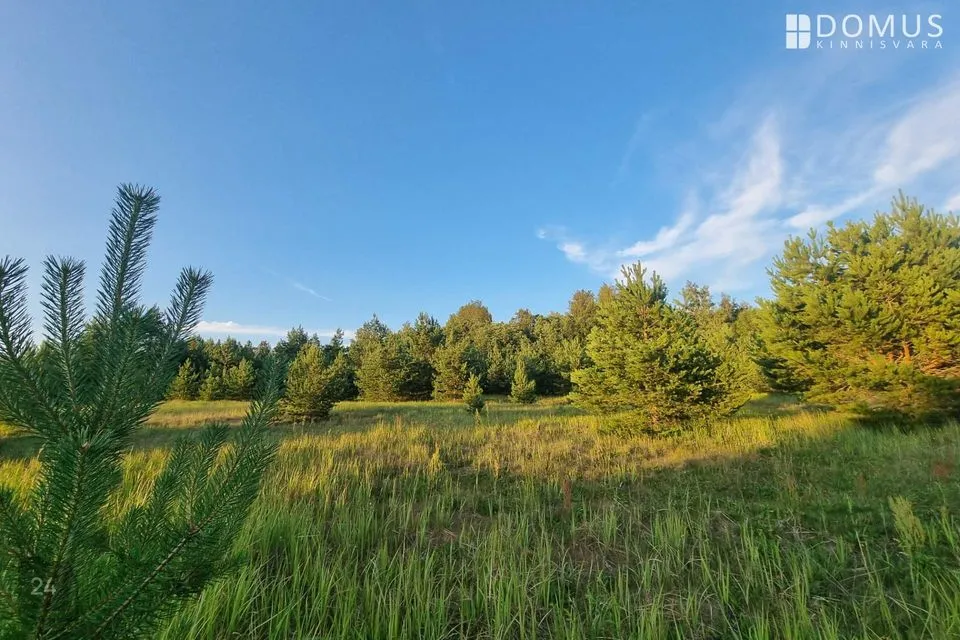 Elamumaa, 3785 m² Maa - Kuusalu vald, Loksa küla - foto 3