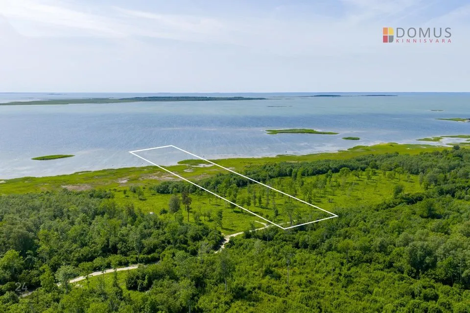 Maatulundusmaa, 18647 m² Maa  -  Haapsalu linn, Metsaküla