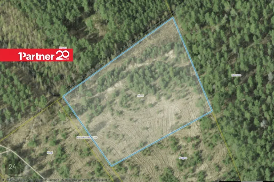 Maatulundusmaa, 15891 m² Maa - Alutaguse vald, Katase küla