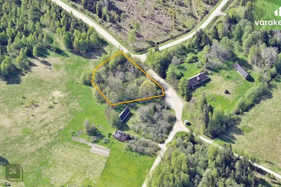 Maatulundusmaa, 3177 m² Maa - Türi vald, Saueaugu küla