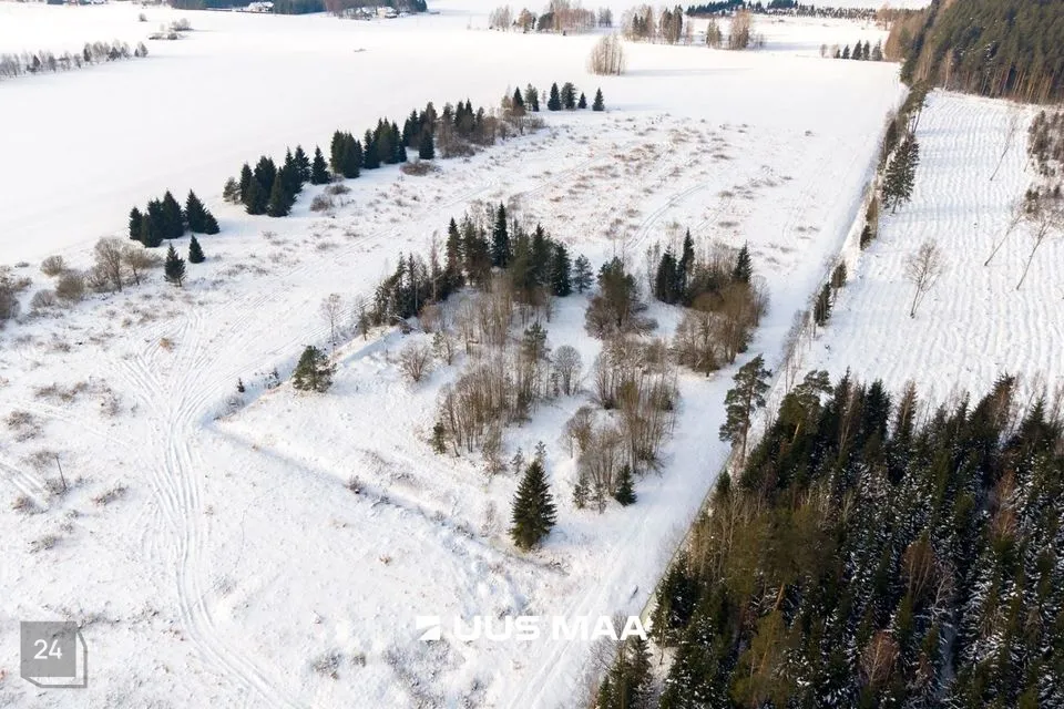 Земля производственного назначения, 10238 m² участок в Peipsiääre vald, Vara küla - фото 3