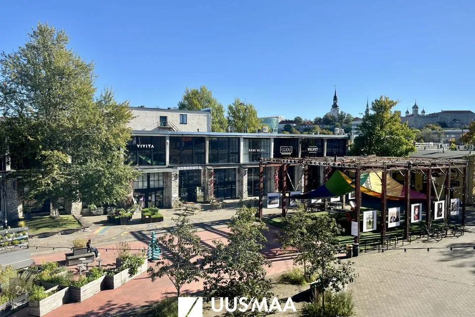 Büroo või Muu, 220 m² Äripind  -  Tallinn, Põhja-Tallinna linnaosa - foto 3