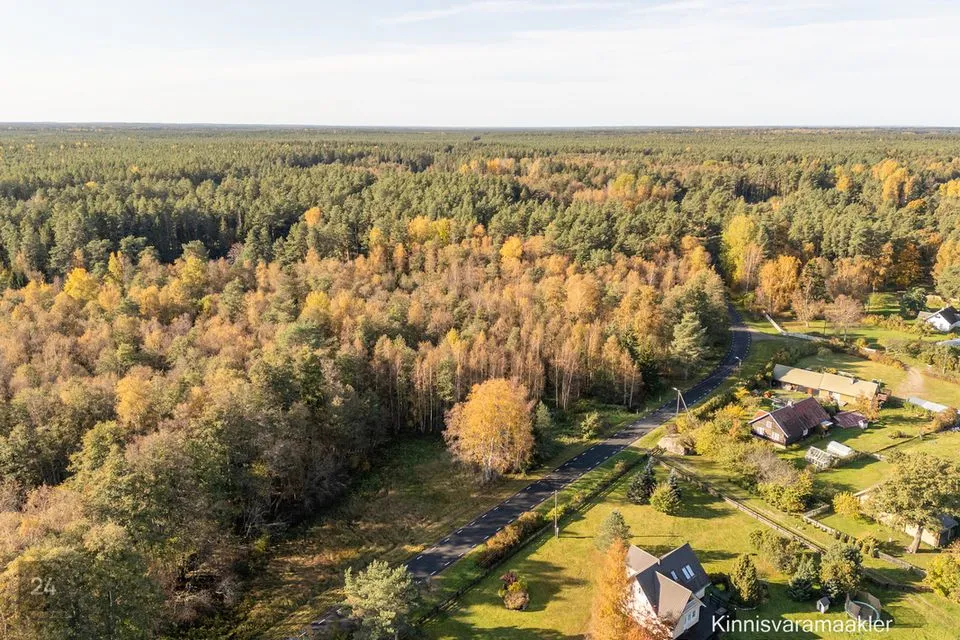 Elamumaa, 2961 m² Maa  -  Haljala vald, Pihlaspea küla - foto 5