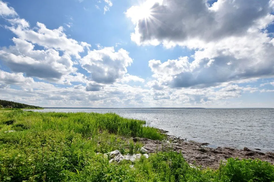 Maatulundusmaa, 7450 m² Maa  -  Saaremaa vald, Jõiste küla - foto 3
