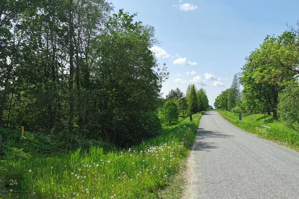 Elamumaa, 21766 m² Maa  -  Tori vald, Nurme küla - foto 3