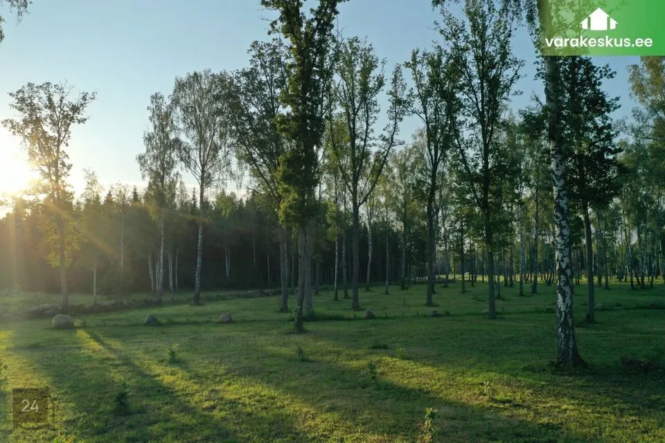 Maatulundusmaa, 33198 m² Maa - Kose vald, Tammiku küla - foto 5