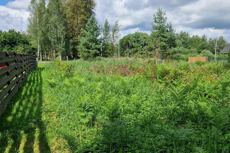 Elamumaa, 1100 m² Maa - Tori vald, Eametsa küla - foto 5