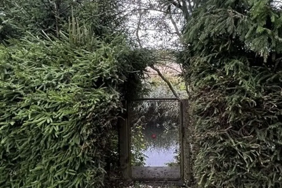 Elamumaa, 1337 m² Maa - Rakvere vald, Sõmeru alevik - foto 4