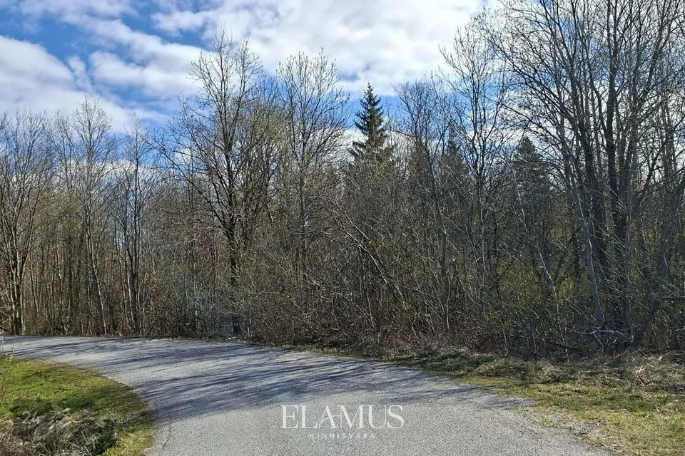Maatulundusmaa, 15586 m² участок в Lääne-Harju vald, Niitvälja küla - фото 3