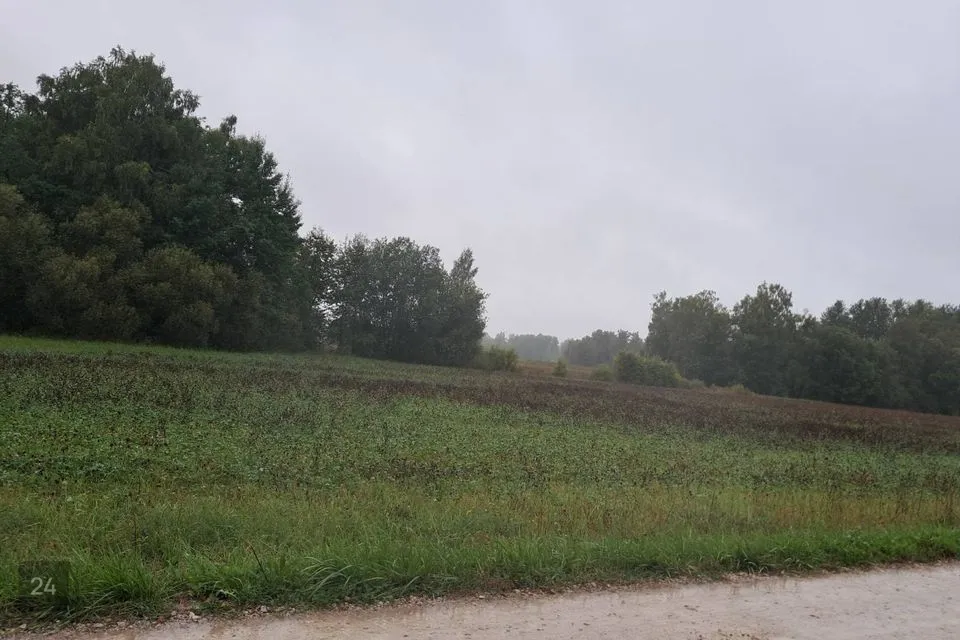 Maatulundusmaa, 59400 m² участок в Saaremaa vald, Randvere küla - фото 2