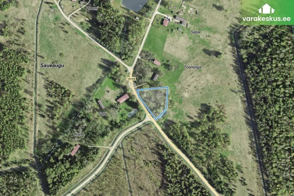 Maatulundusmaa, 3177 m² Maa - Türi vald, Saueaugu küla - foto 2