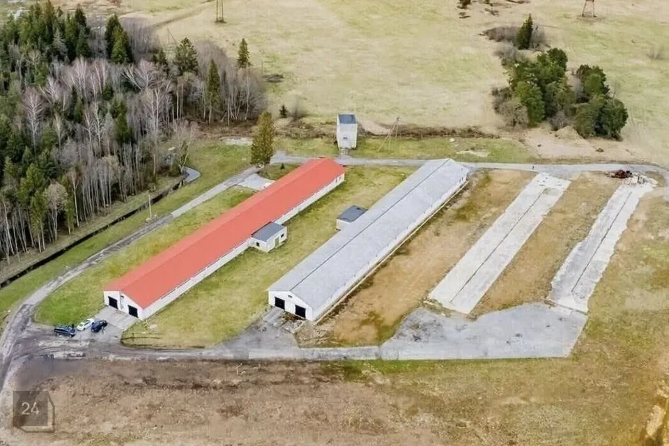 Ladu või Tootmine, 1286 m² Äripind - Saku vald, Tagadi küla - foto 2