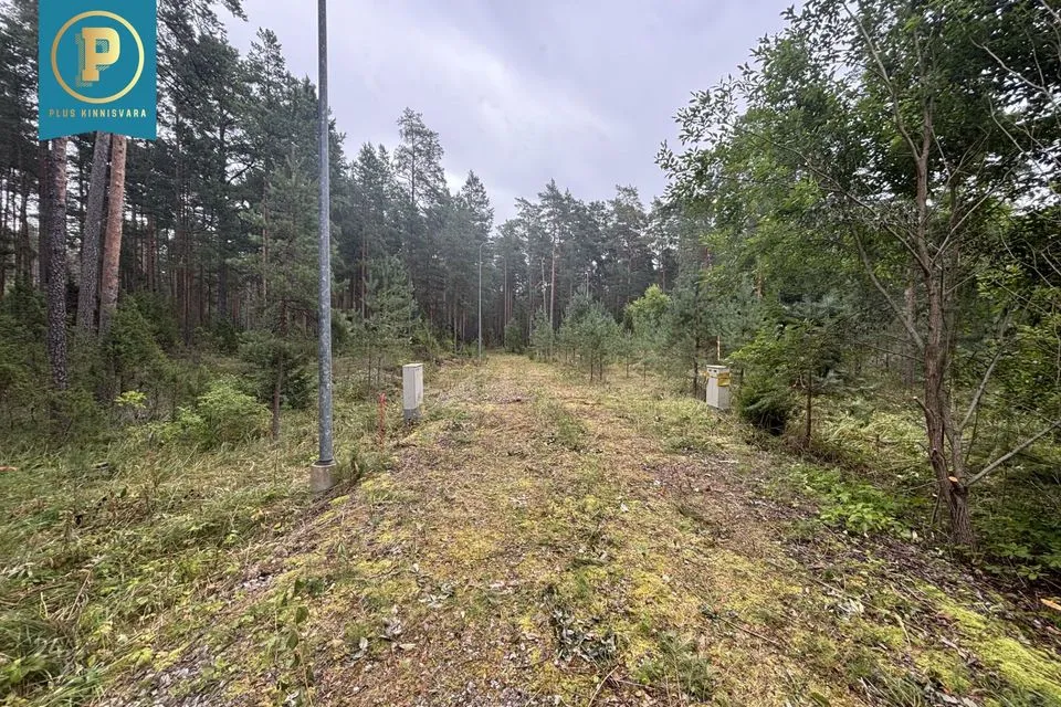 Elamumaa, 2000 m² Maa  -  Narva-Jõesuu linn, Narva-Jõesuu linn - foto 3