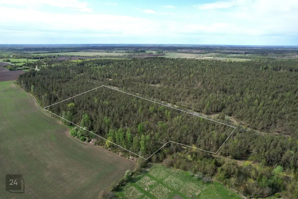 Cultivated land, 33296 m² land in Saaremaa vald, Väike-Võhma küla - photo 2