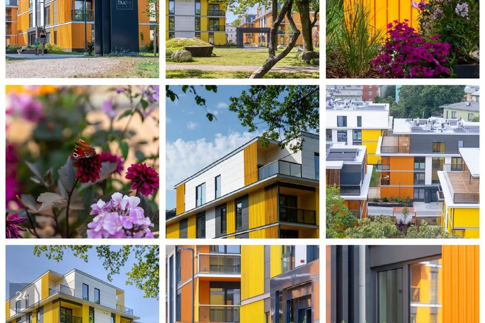 3-toaline Korter  -  Tallinn, Põhja-Tallinna linnaosa - foto 4