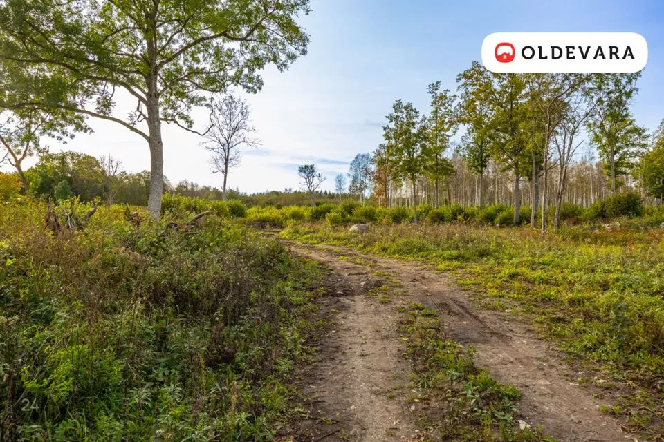 Maatulundusmaa, 10163 m² Maa - Haapsalu linn, Laheva küla - foto 3