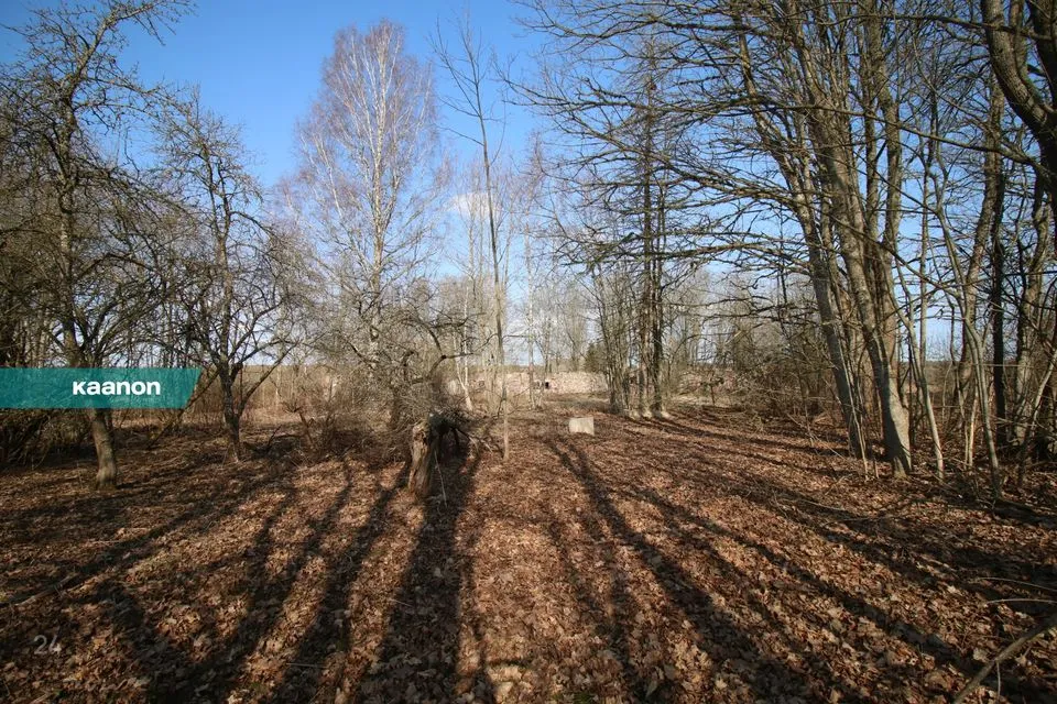 38800 m² участок в Tartu vald, Haava küla - фото 5