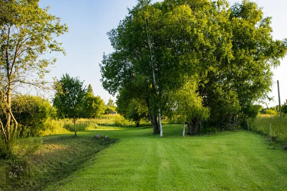 Maatulundusmaa, 9677 m² Maa  -  Raasiku vald, Tõhelgi küla