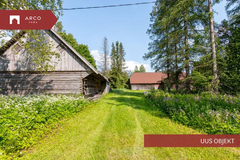 161 m² Maja - Saarde vald, Kalita küla