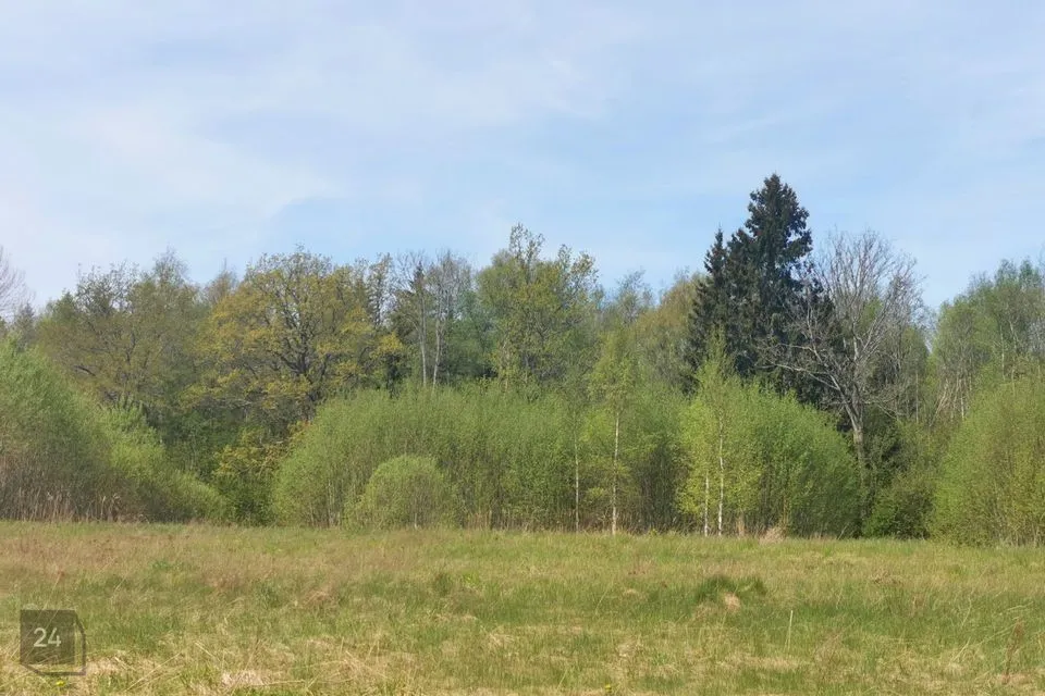 Cultivated land, 16315 m² land in Lääne-Nigula vald, Kuijõe küla