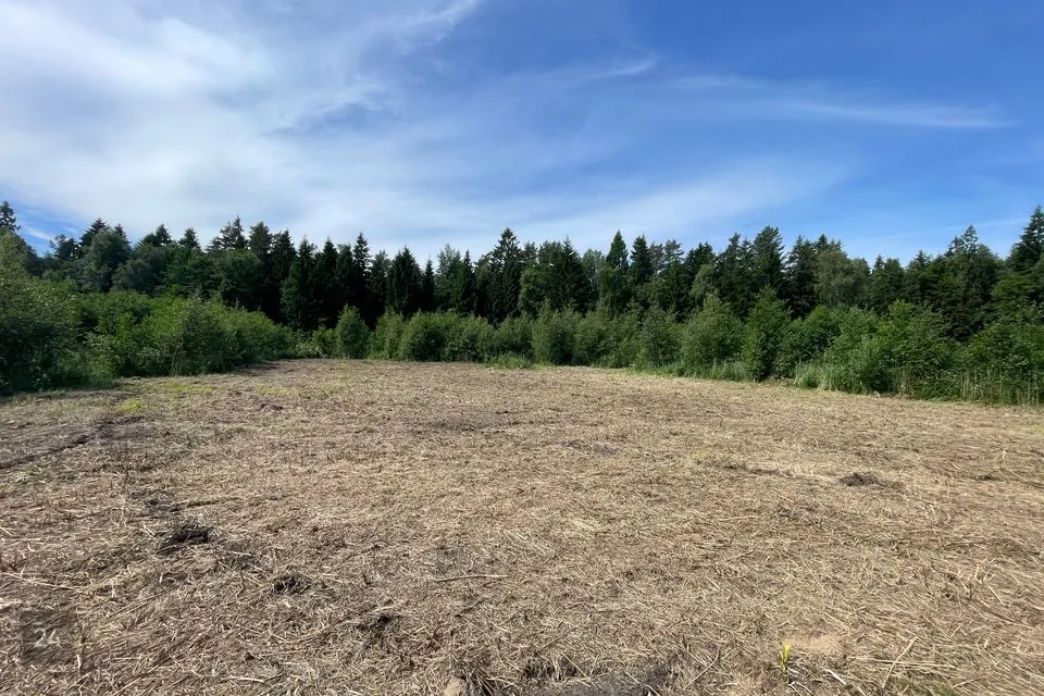 Ärimaa, 41296 m² Maa - Lääne-Nigula vald, Peraküla - foto 2
