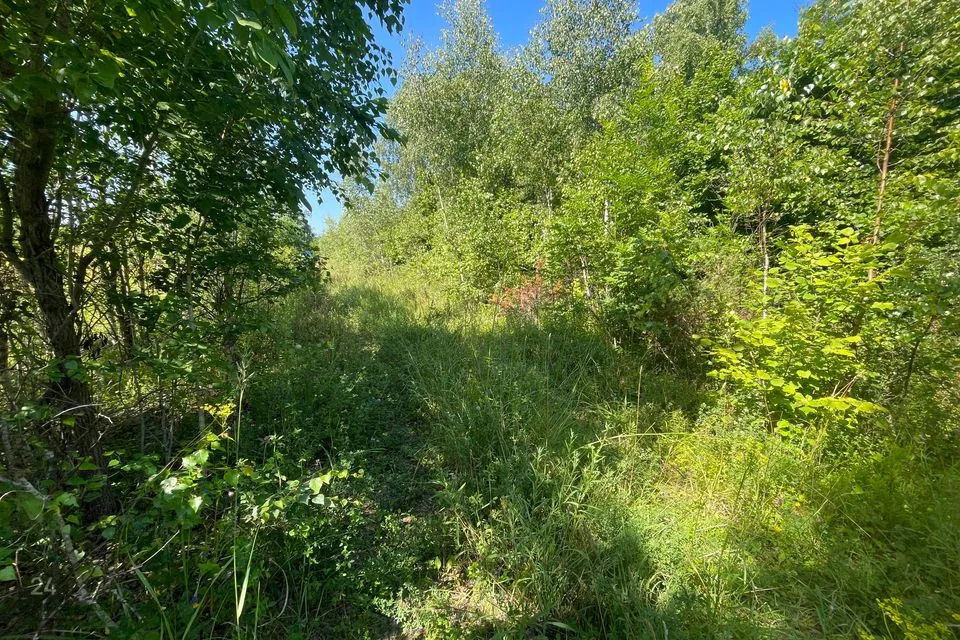 Земля жилой застройки, 2274 m² участок в Haapsalu linn, Pusku küla - фото 5