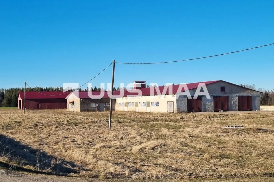 1350 m² Äripind - Vinni vald, Miila küla